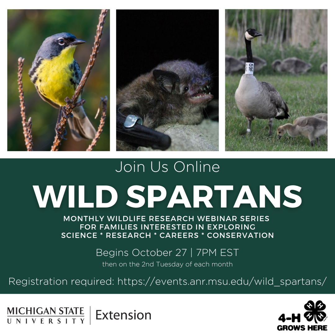 Wild Spartans _ series social media